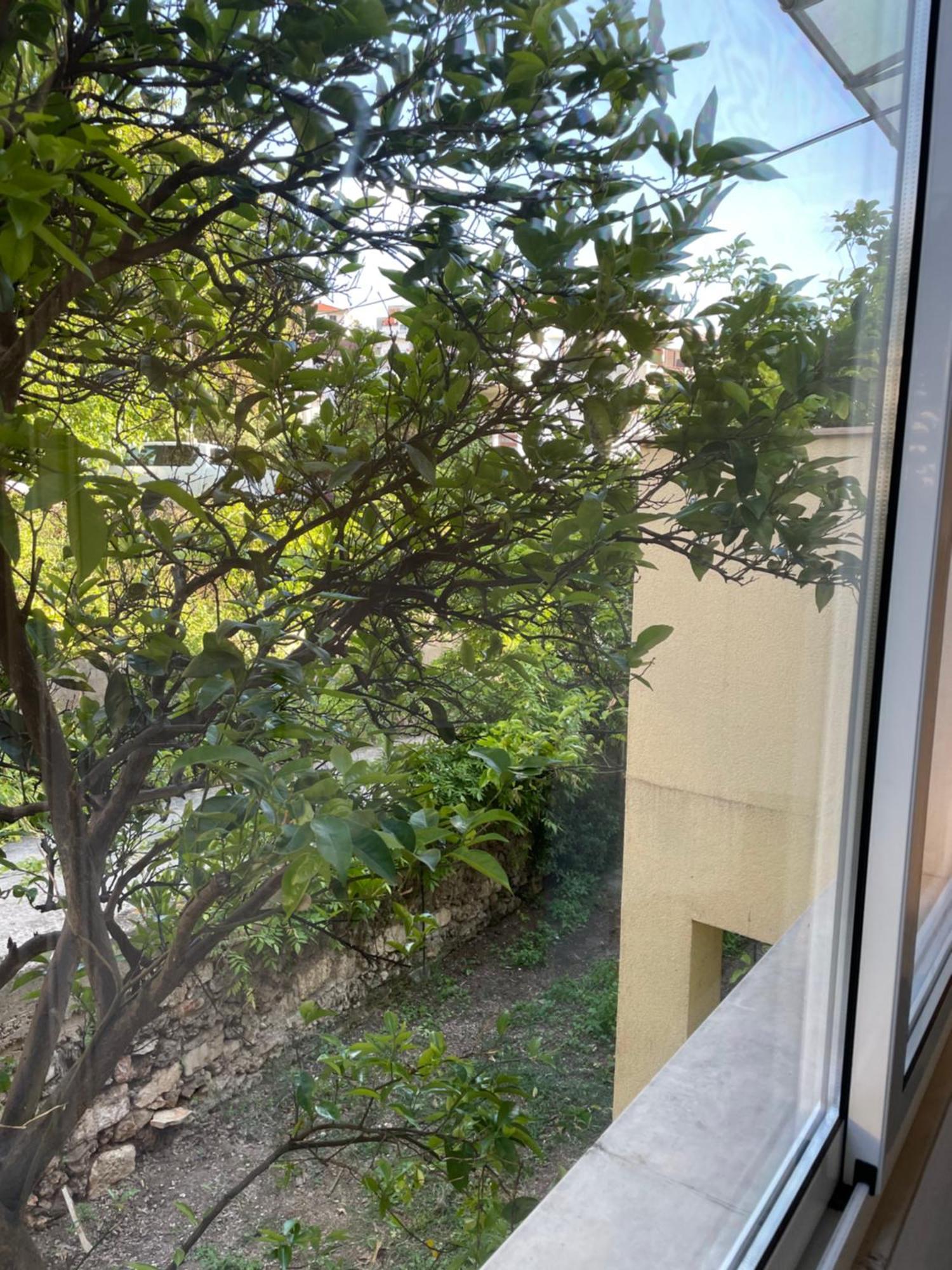 Apartmani Isabella - Ilda Radonic Jelsa  Zewnętrze zdjęcie